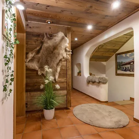 Hauskitz
